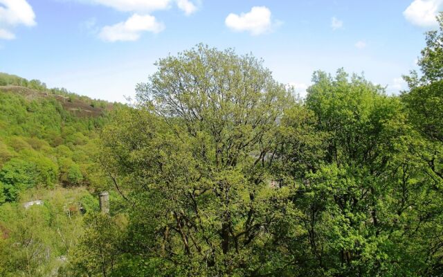 Glen View B&B