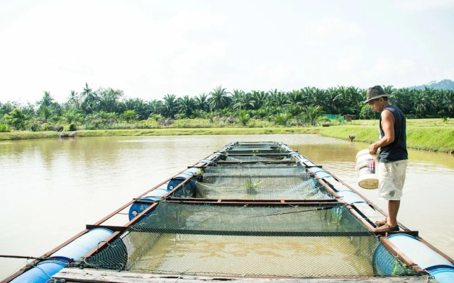 Kampung Bongsu Farmstay