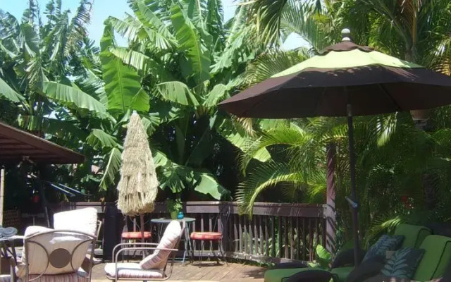 Two Story Cozy Ohana