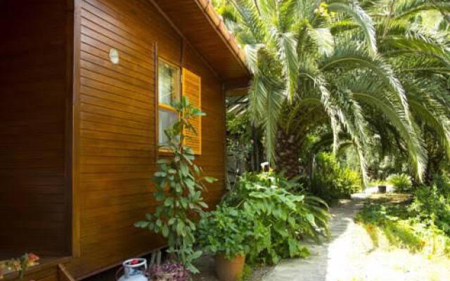 Dostlar Pension
