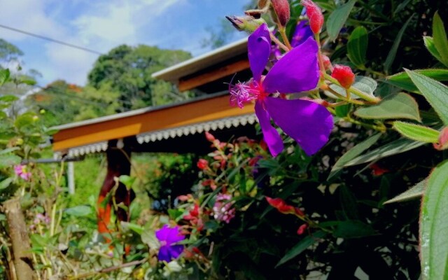 Ella Wisdom Home