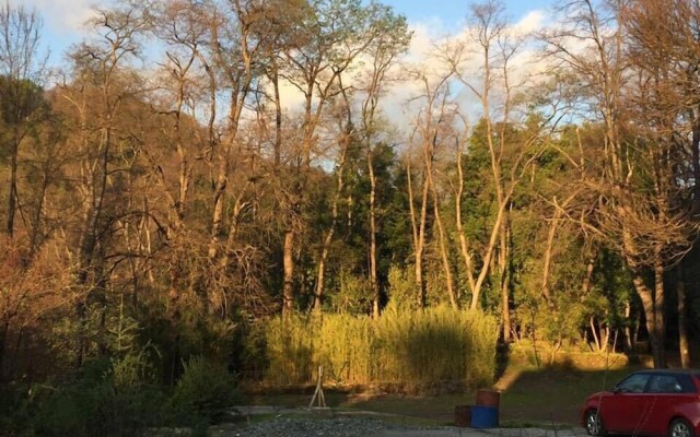 Bosque Los Lleuques Cabaña & Spa