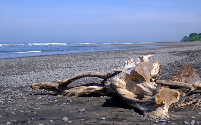 Wide Sands Beach Retreat