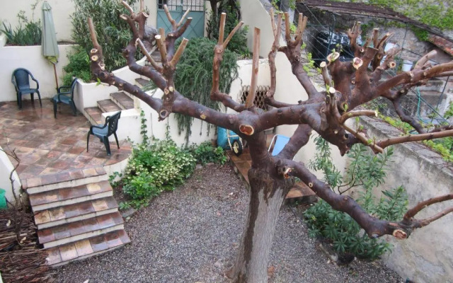 28 Rue de la Ferrage