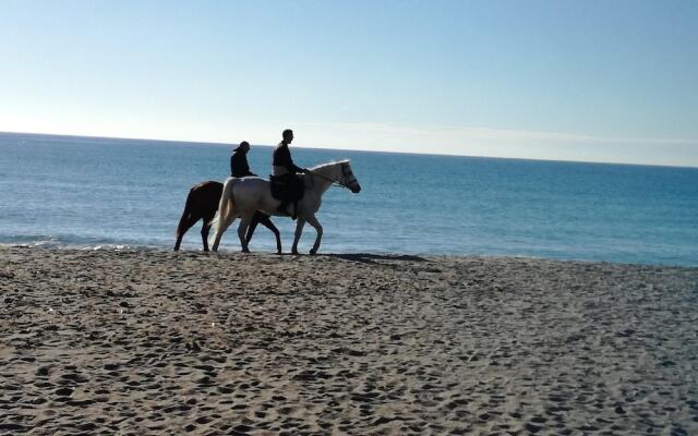 Apartment With 2 Bedrooms in Quartu Sant'elena, With Furnished Garden