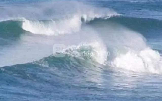 21 Rue Des Chevrefeuilles