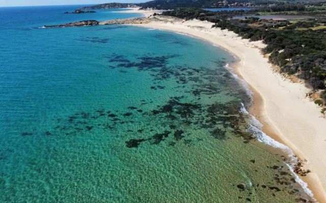 SaMurtaBianca 1