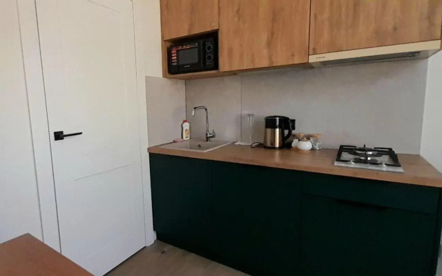 Apartment on Virmenska 13