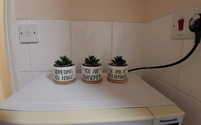 Sunny Southampton 3 Bedroom Apartment