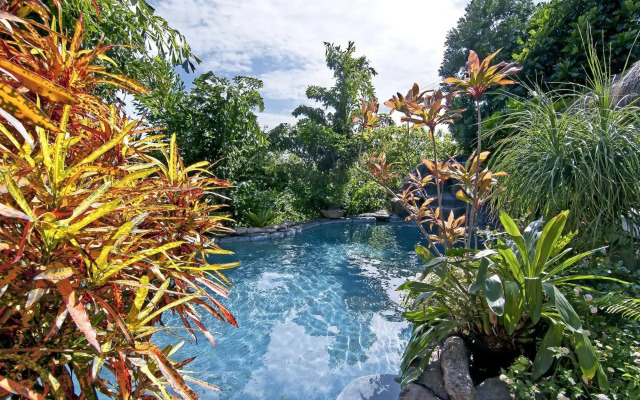 Manoa Valley Inn