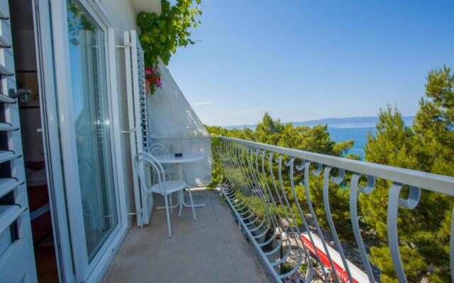 Apartments Ankora