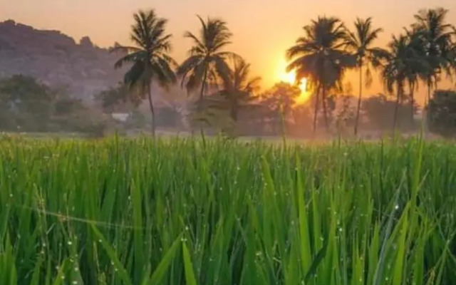 Sunrise Guest House & Restaurant