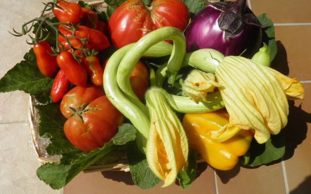 Agriturismo U Caruggiu