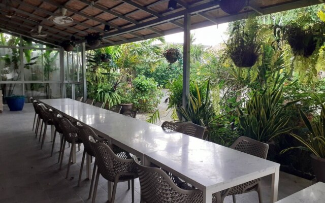 Areeca Mahogany Zone