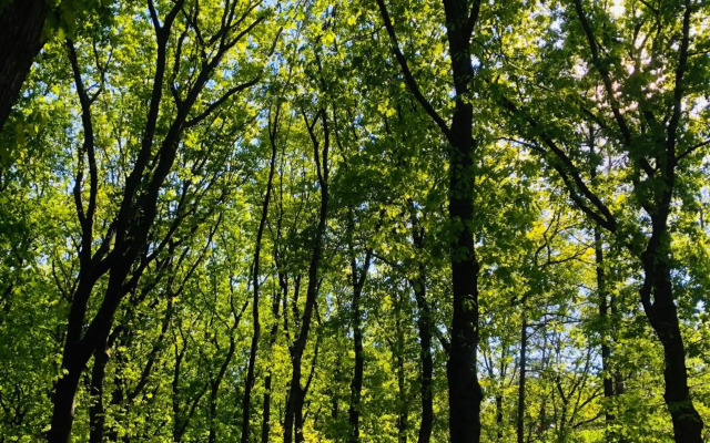 Vakantiehuisje Specht