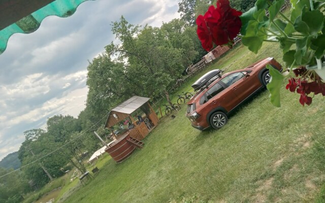 Room in Guest Room - Rural Holiday Transylvania