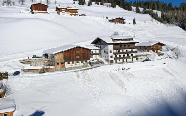 Alpine Premium Chalet Wallegg-Lodge
