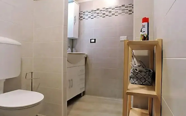 Cozy Studio in Turin City Center