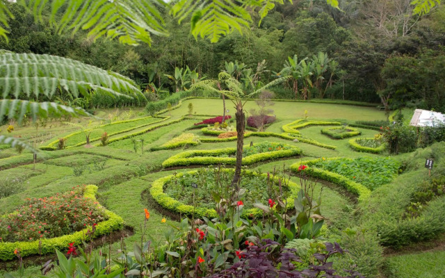 HOMM Saranam Baturiti, Bali