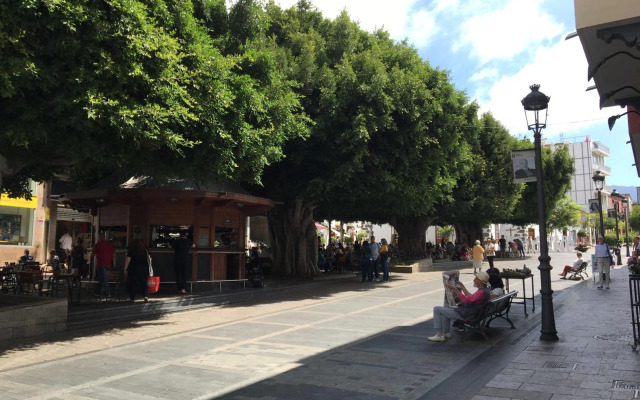 Apartamentos Los Laureles