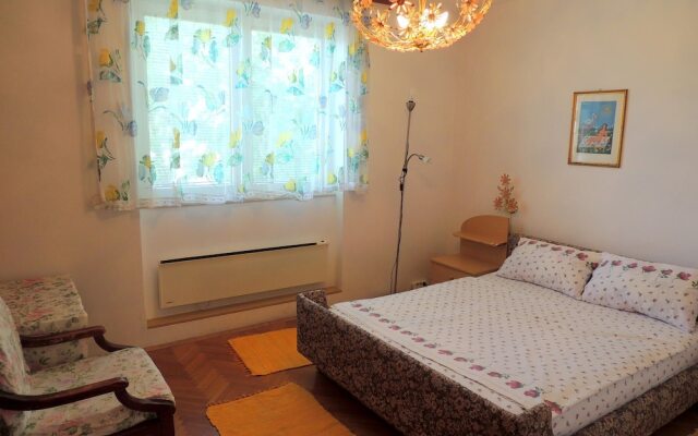 Apartment Borosak