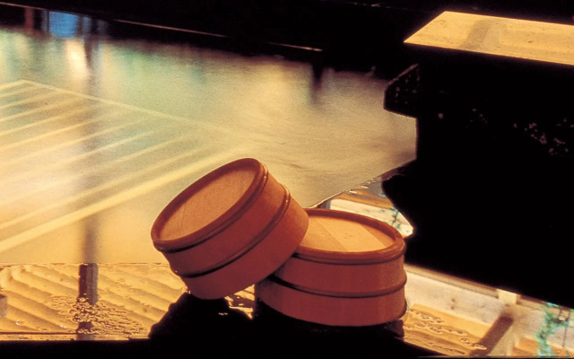 Hakata Yufuin Takeo Onsen Manyo no Yu