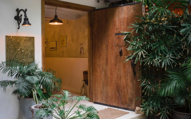 Hotel La Semilla, Playa del Carmen, a Member of Design Hotels - Adults Only