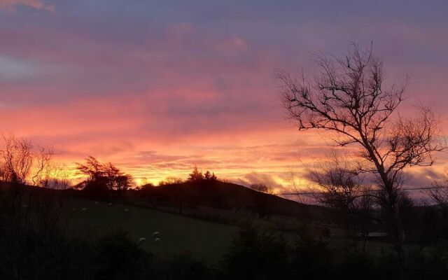 Ty Capel B&B