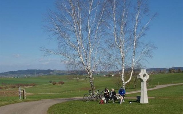 Flair Hotel Grüner Baum