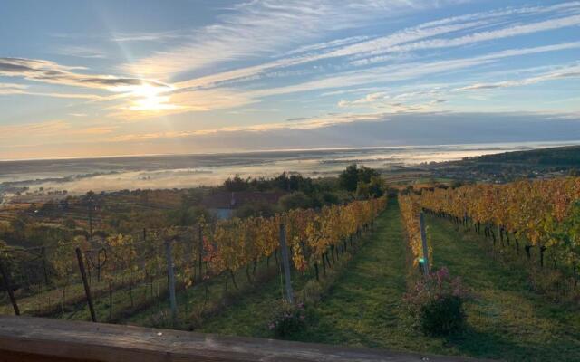 Kellerstöckl am Weinblick