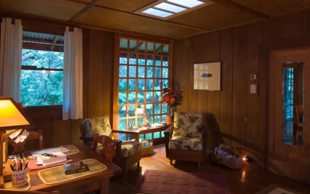 Crater Rim Cabin - Guesthouse in فولكانو - Photo 3