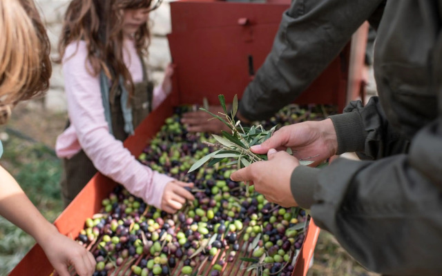 Cortijo La Organic