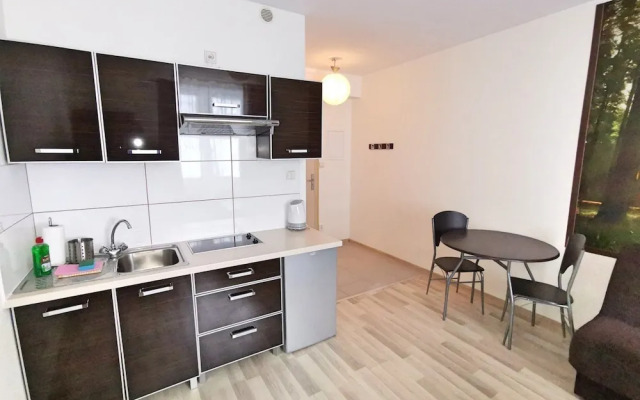 Apartament Everysky Karpacz Sucha 3a 9