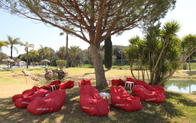 The Navigator - Palm Oasis Alvor