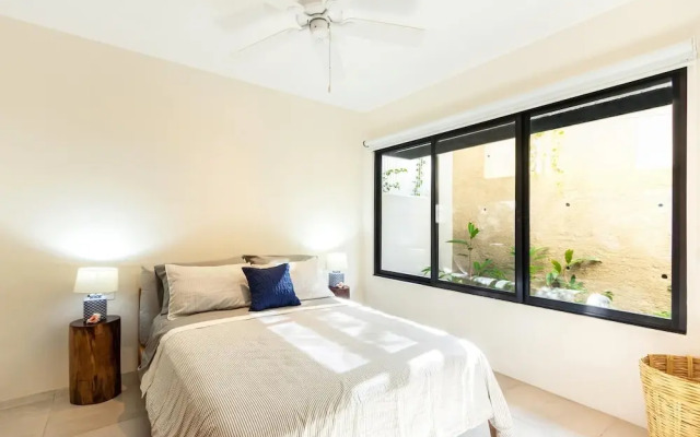 Agaves 204