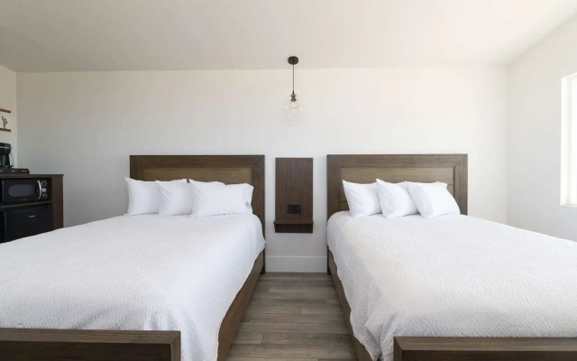 Zion Wildflower, BW Premier Collection