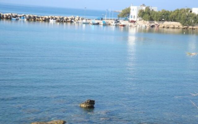 Blue & Sea Studios
