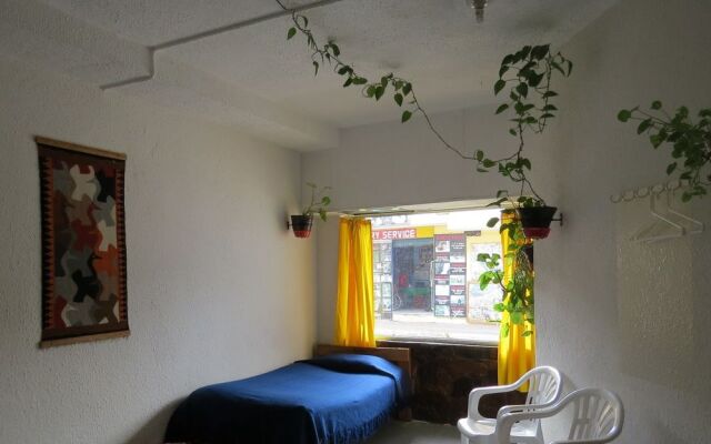 Hostal Plantas y Blanco