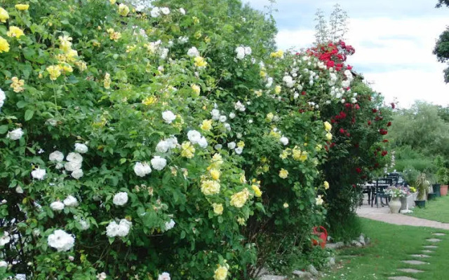 Sportpark Warmbad-Villach