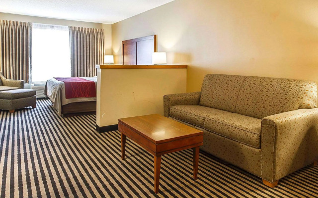 Comfort Inn Owatonna near Medical Center