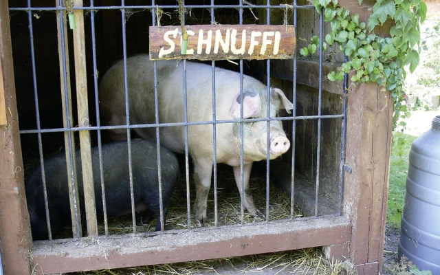 Landferienhaus Pension Erika