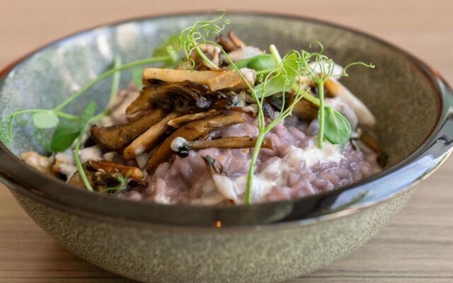 Novotel Miami Brickell 