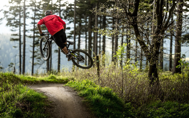 Mountain View Hotel Willingen