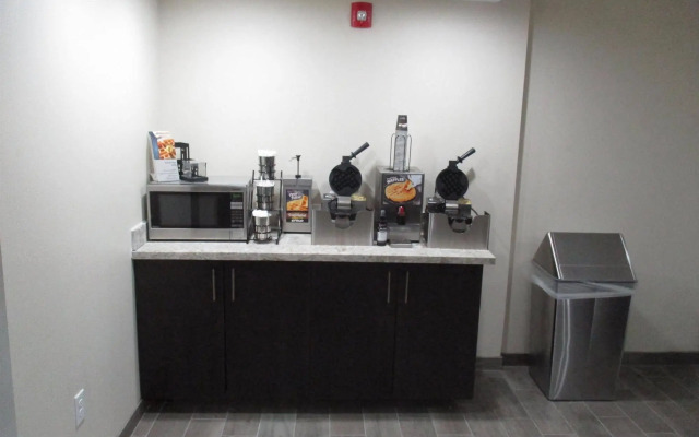 Best Western Plus Downtown North