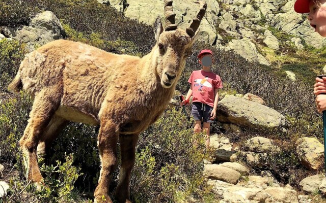 Calme nature ski à Vallorcine Mont Blanc