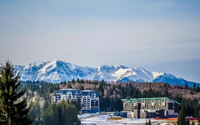 Art Gallery Apartment in Silver Mountain