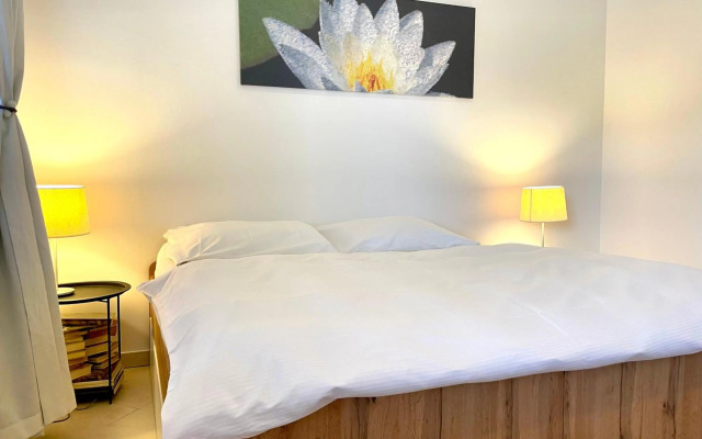 Booklovers apartment close to center