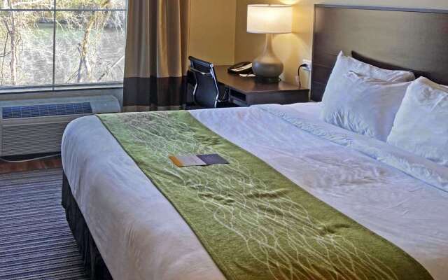 Comfort Inn