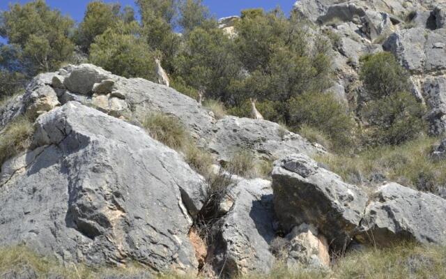 Apartamentos Rurales Parque