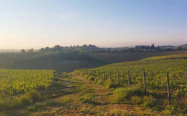 Charming 8-bed Villa in Certaldo